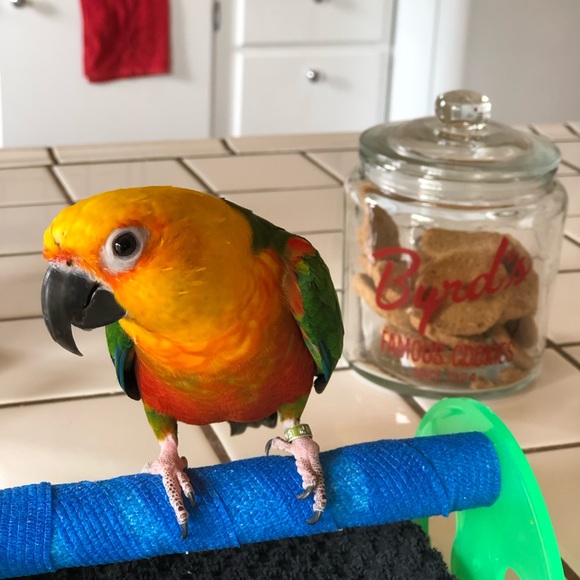 Meet your Posher, Marisa - Picture 3 of 16